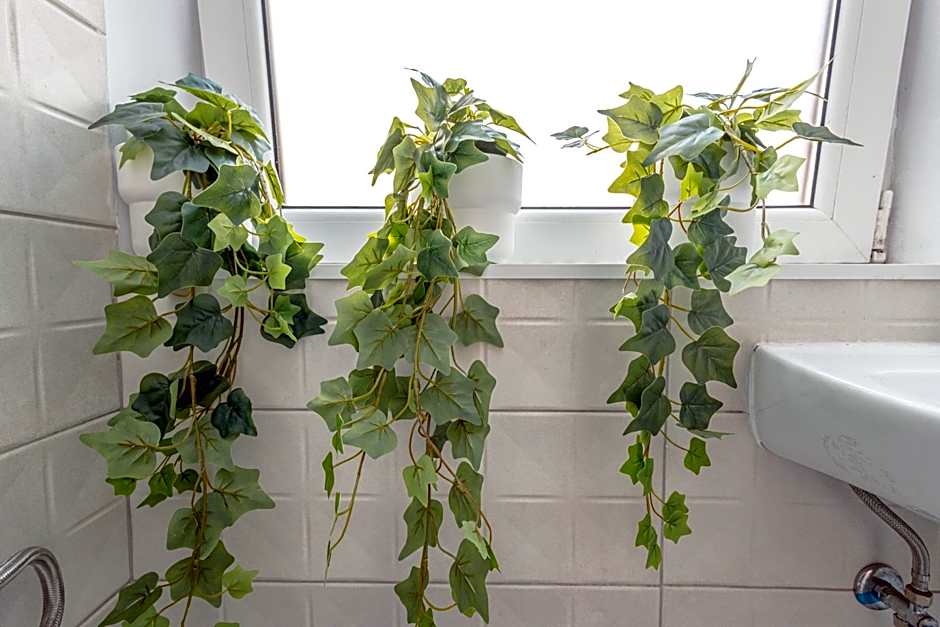 First Hostel Bucur 21