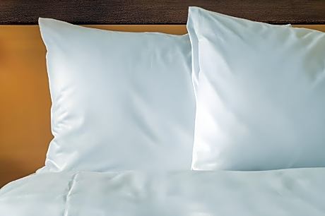 1 Queen Bed Studio Suite