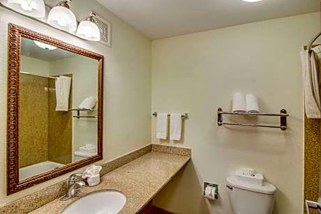 Queen Suite with Sofa Bed - Non-Smoking