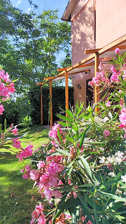 Camping Le Marche Apartments