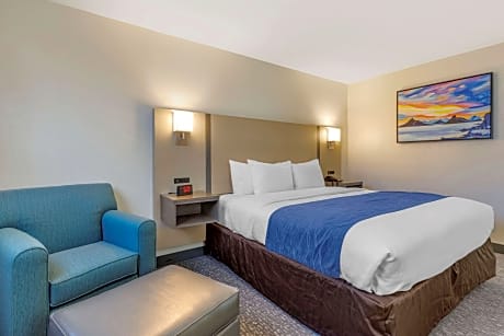 1 King Bed, Nonsmoking, Accessible