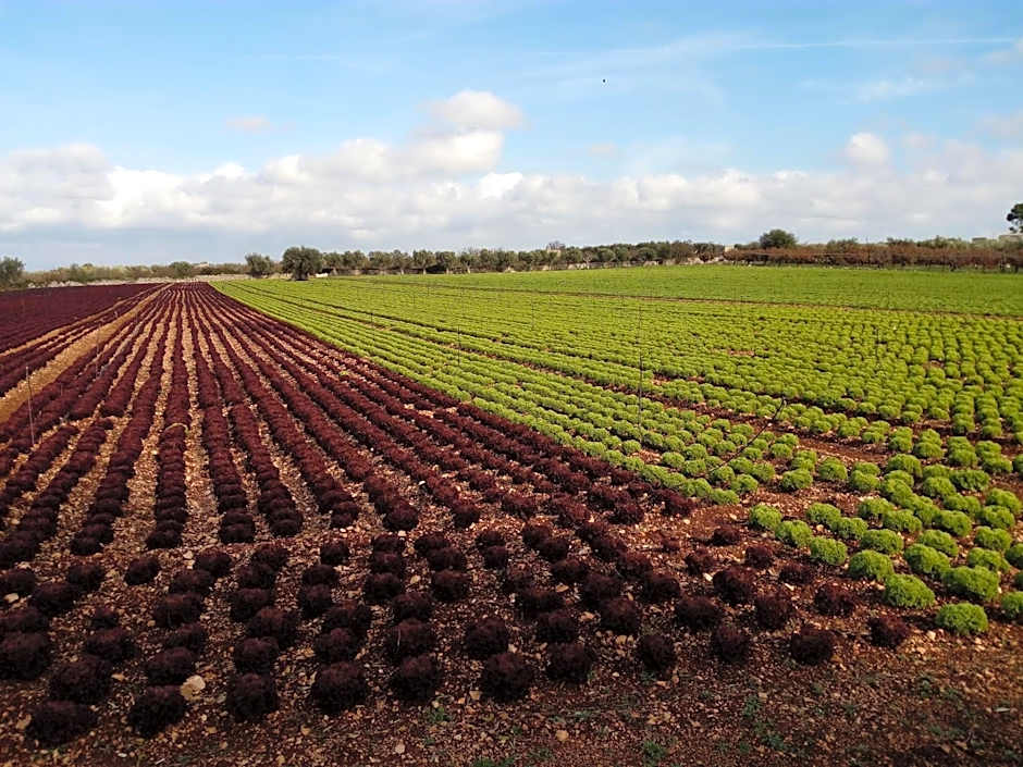 Agriturismo Masseria Alberotanza