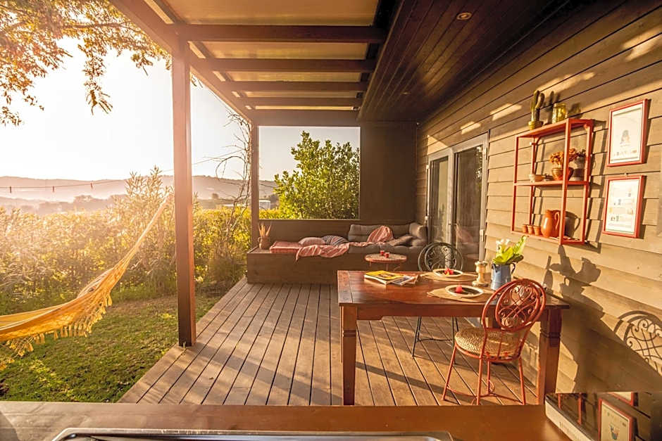 Gato Preto de Silves - Adults Only