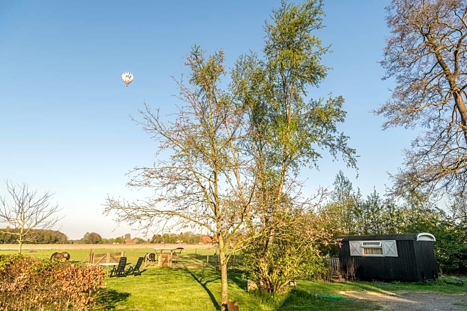 Pipowagen Lidewei Groningen Westerwolde unieke ligging met eigen tuin en vrij uitzicht over veld naar natuurgebied