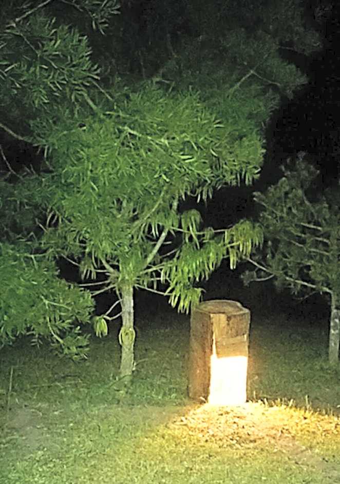 Green Hills Forest Lodge