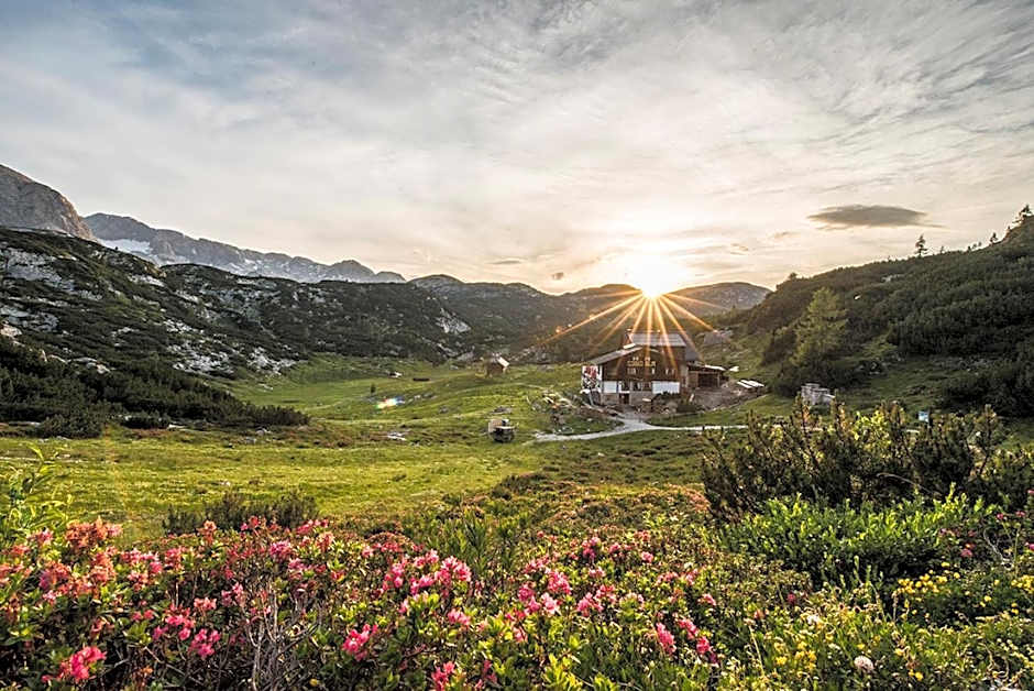 Gjaid-Alm 1739m am Dachstein-Only Accessible by Cable Car