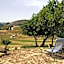 Helimos B&B with Segesta Temple view near Castellammare del Golfo
