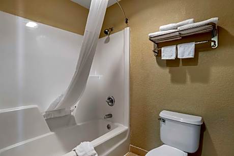 1 King Bed, Suite, Nonsmoking