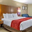 Comfort Inn Lancaster at Rockvale