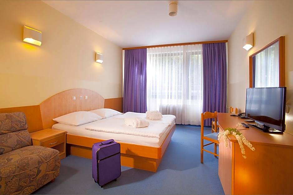 Terme Topolsica - Hotel Vesna