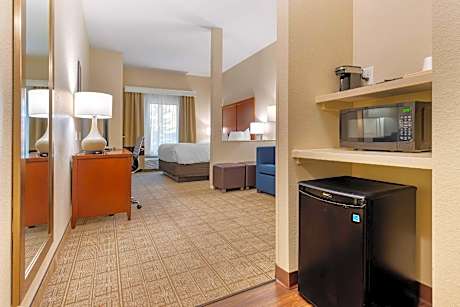 1 King Bed, Suite, Nonsmoking, Accessible