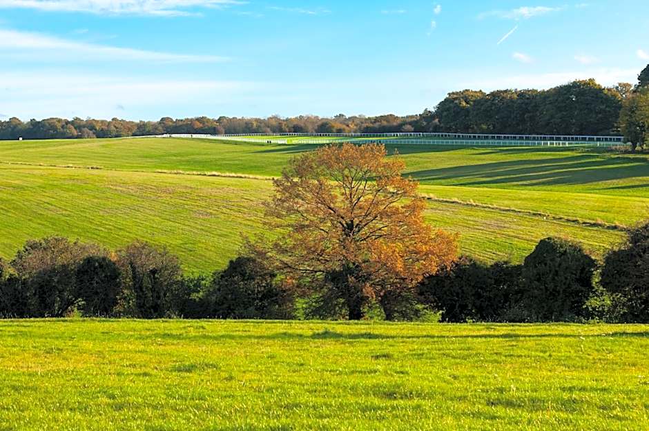 Holiday Inn Express London - Epsom Downs By IHG