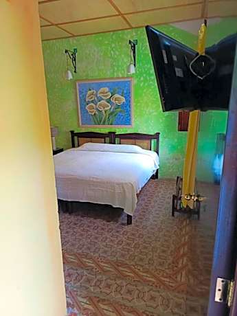 King Room with Garden View