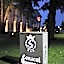 Conacul Domnesc