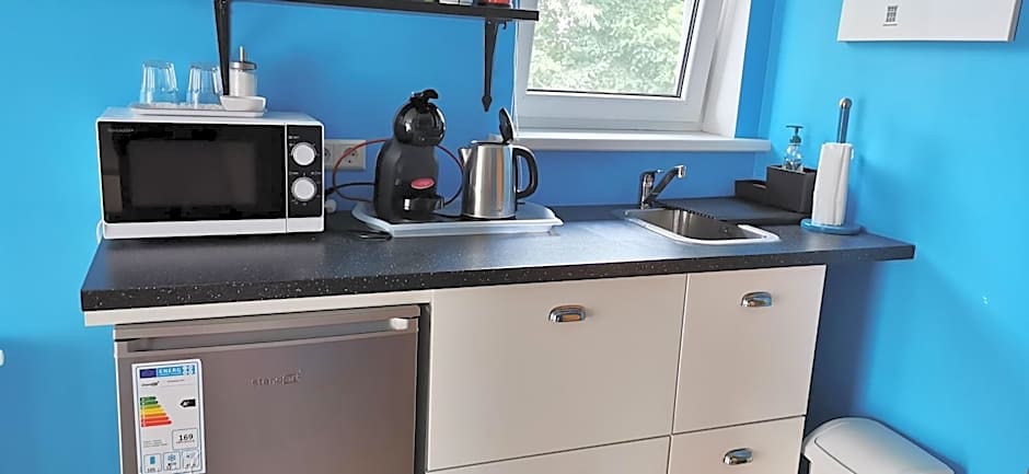 Green Gile Villa in Druskininkai Center