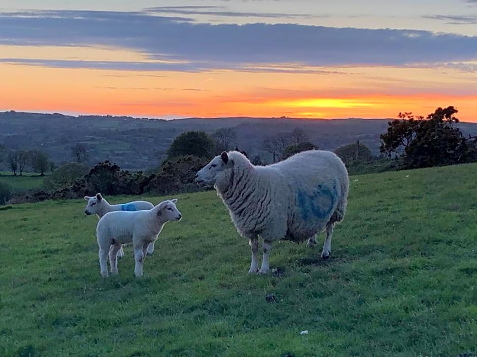 Five Saints Farmhouse B&B