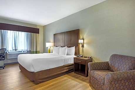 King Suite with Sofa-Bed - Non-Smoking