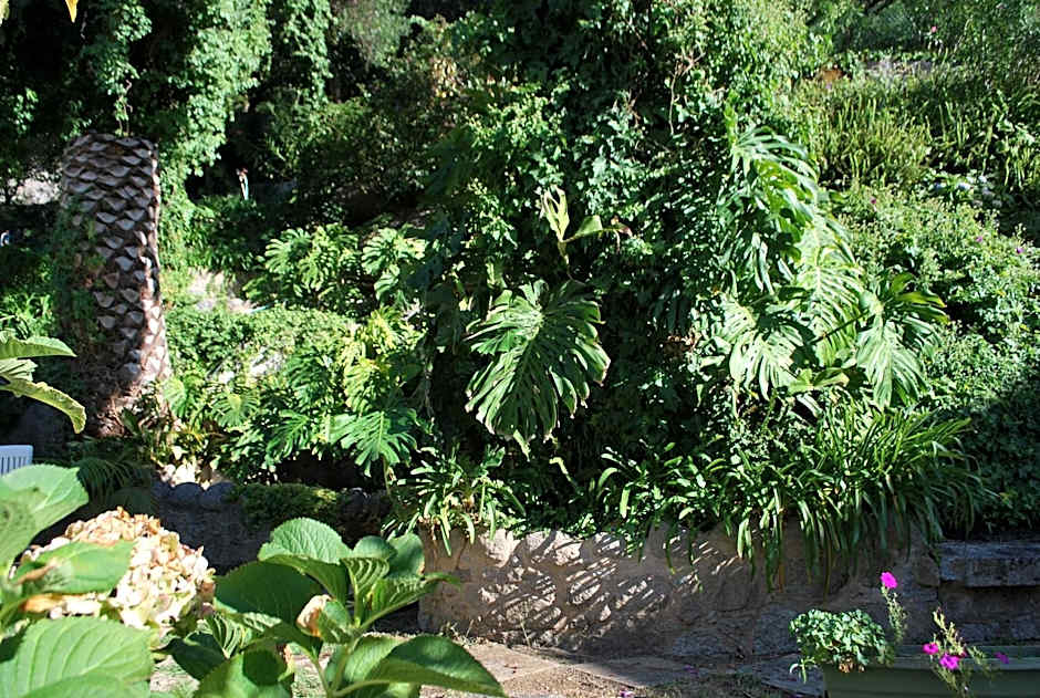 Albergaria do Lageado