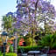 Villa Montana Hotel & Spa