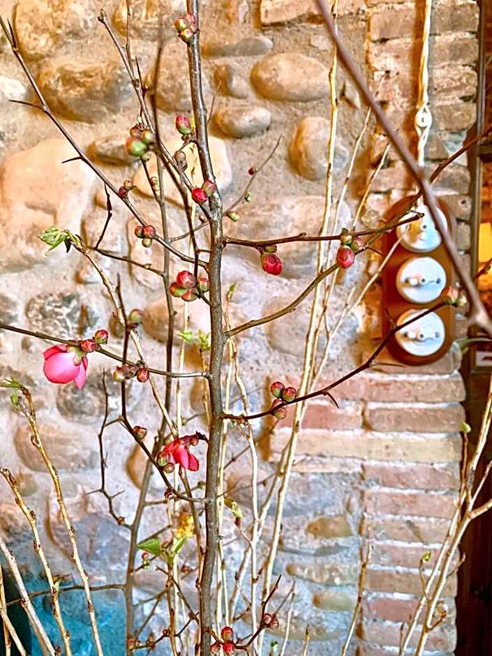 Hotel Masia La Palma