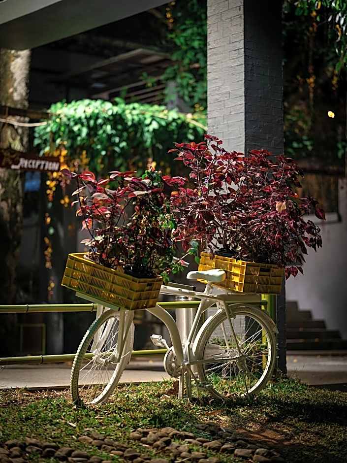 The Mountain Courtyard