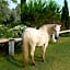 Bergerie d'Alivon en Camargue