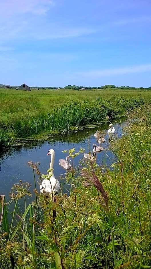 The Gallery Lodges
