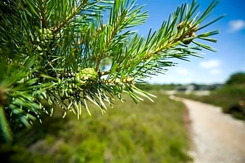 Loft 55 Bergen-Schoorl Luxury Appartement 165m2