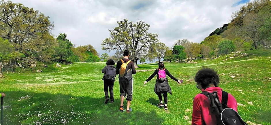 Thalassa Locanda B&B e appartamento