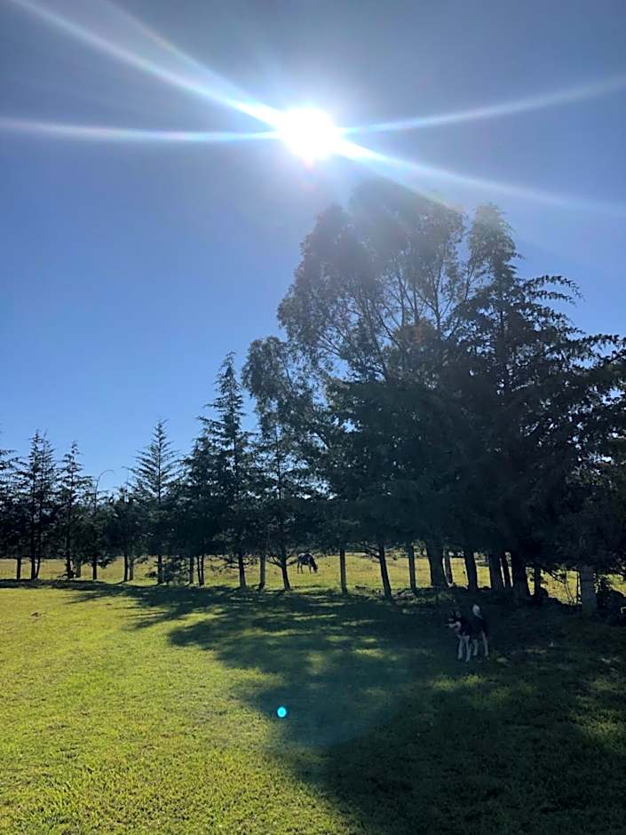 Hotel Boutique Calderon