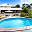Noosa River Palms