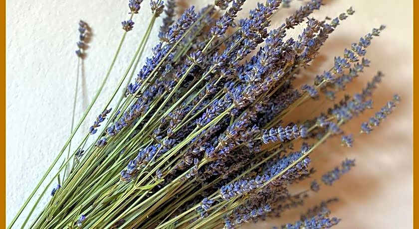 L’Oca Giuliva Relais