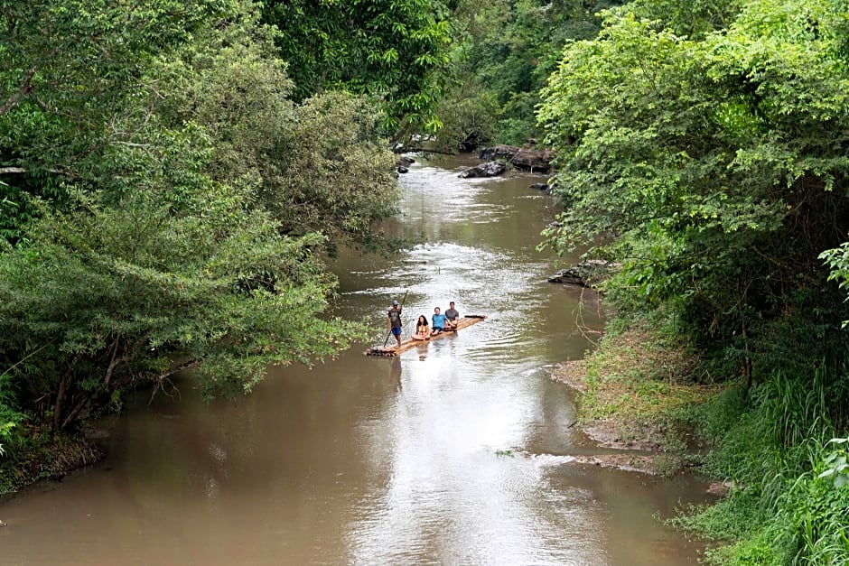 Chiang Mai Elephant Friends