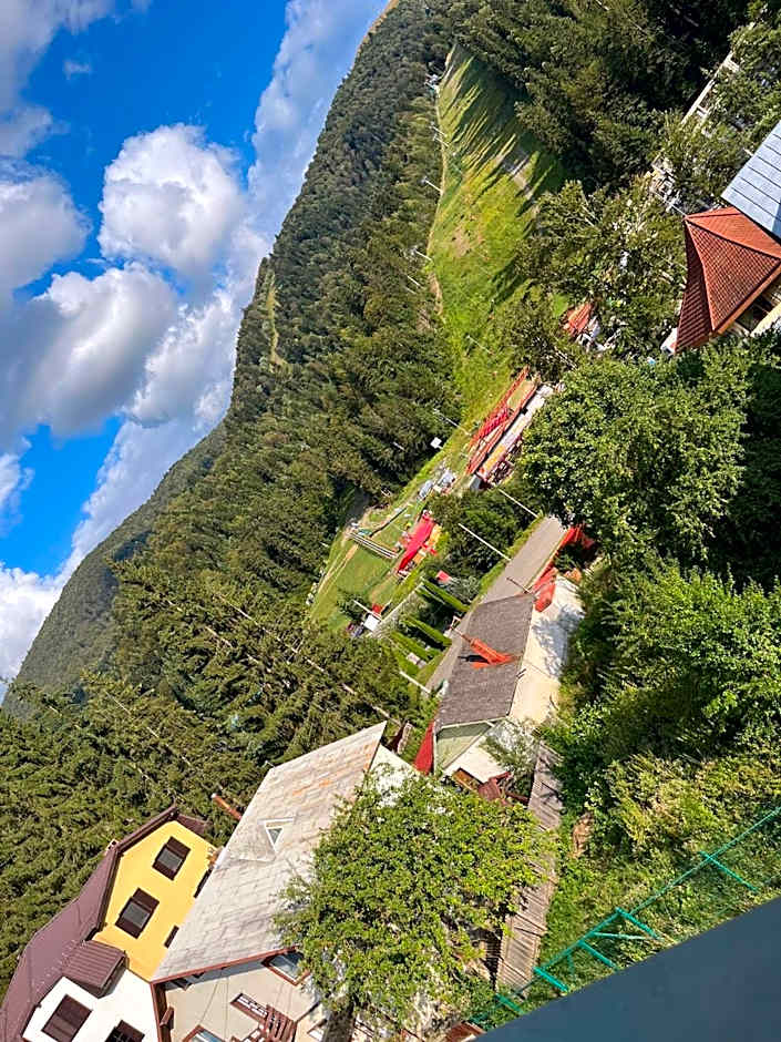 Restaurant Casa Nicolenco Azuga by Genco