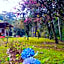 Pousada Bosque do Visconde