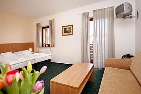 Double or Twin Room with Extra Bed