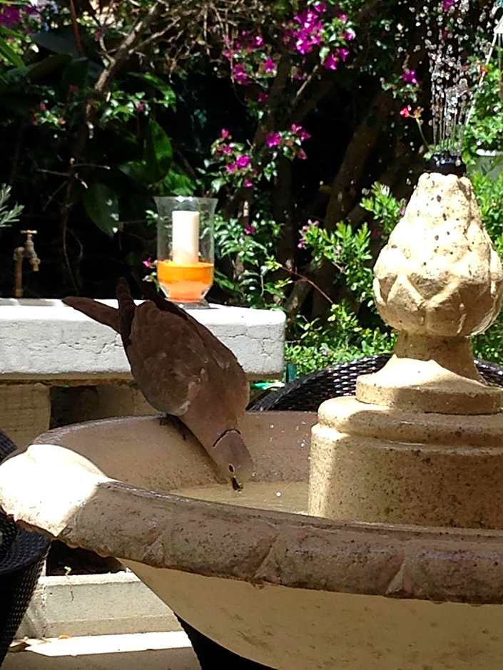 Hotel Chalet De L'isere