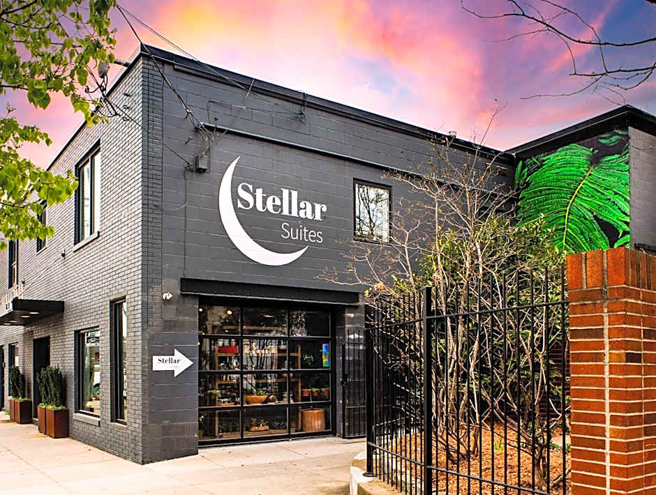 Photo 1 sur 50 de Stellar Suites