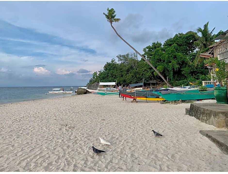 Domos Native Guest House