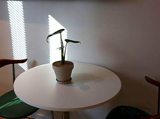 YangpyeongMoonholidarak