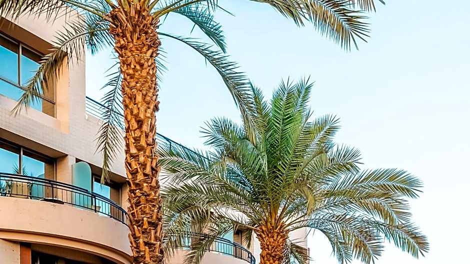 Jacob Eilat