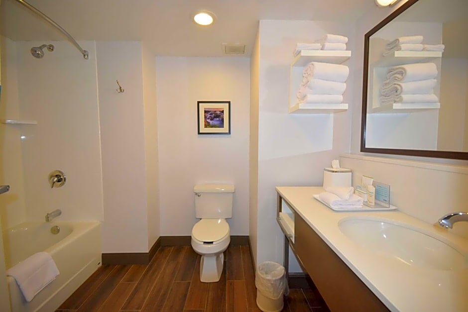 Hampton Inn By Hilton Roanoke/Salem