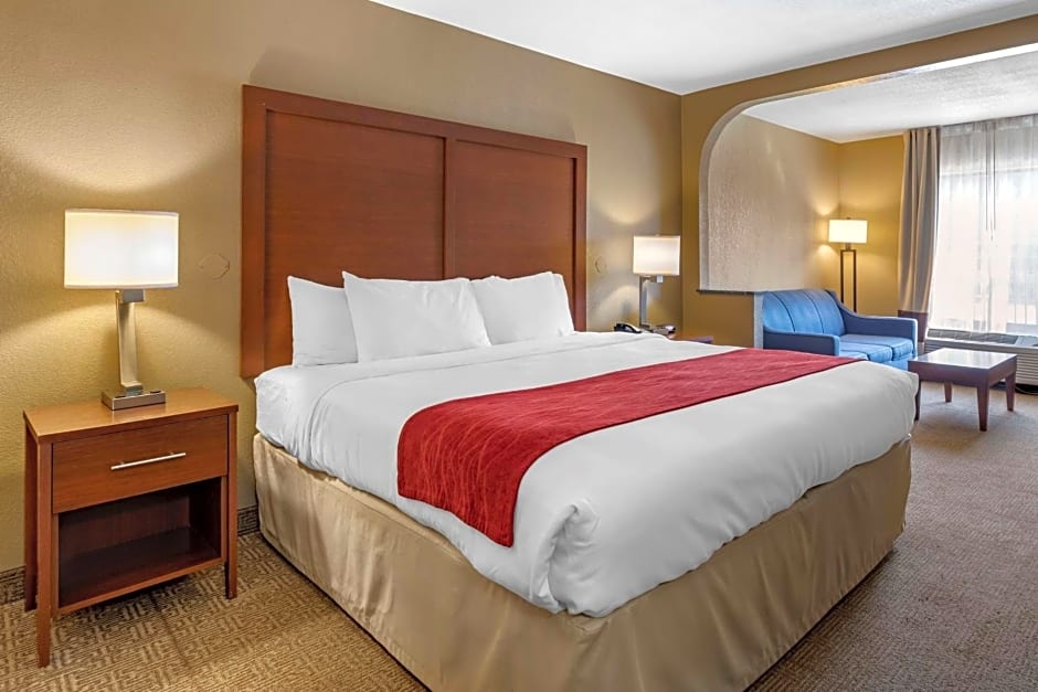 Comfort Inn Biltmore West