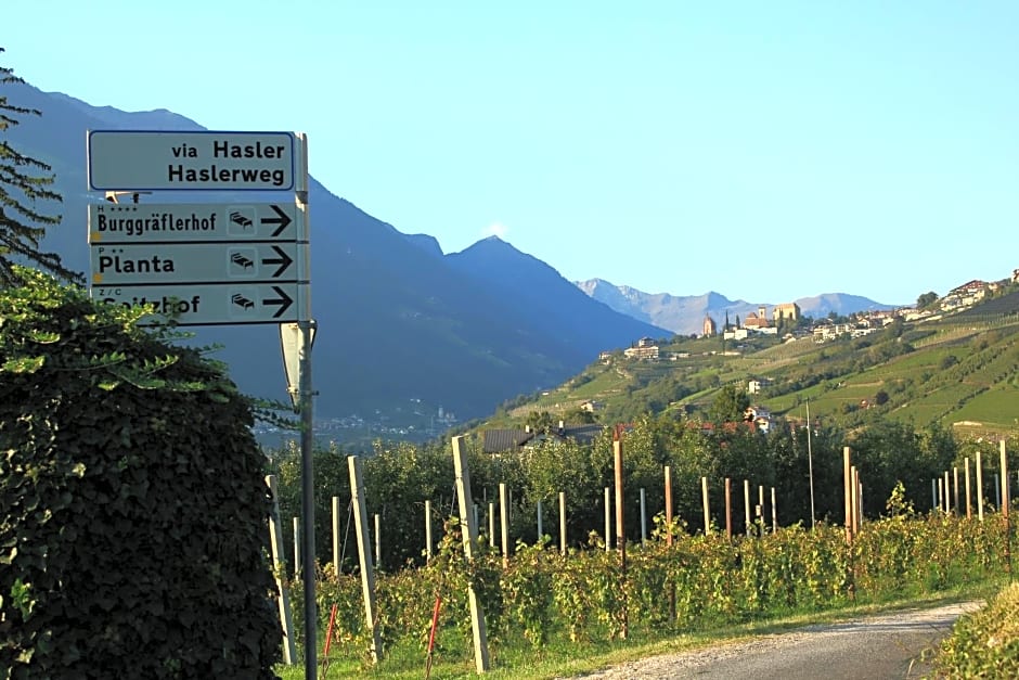 Home Suite Home Bed & Breakfast