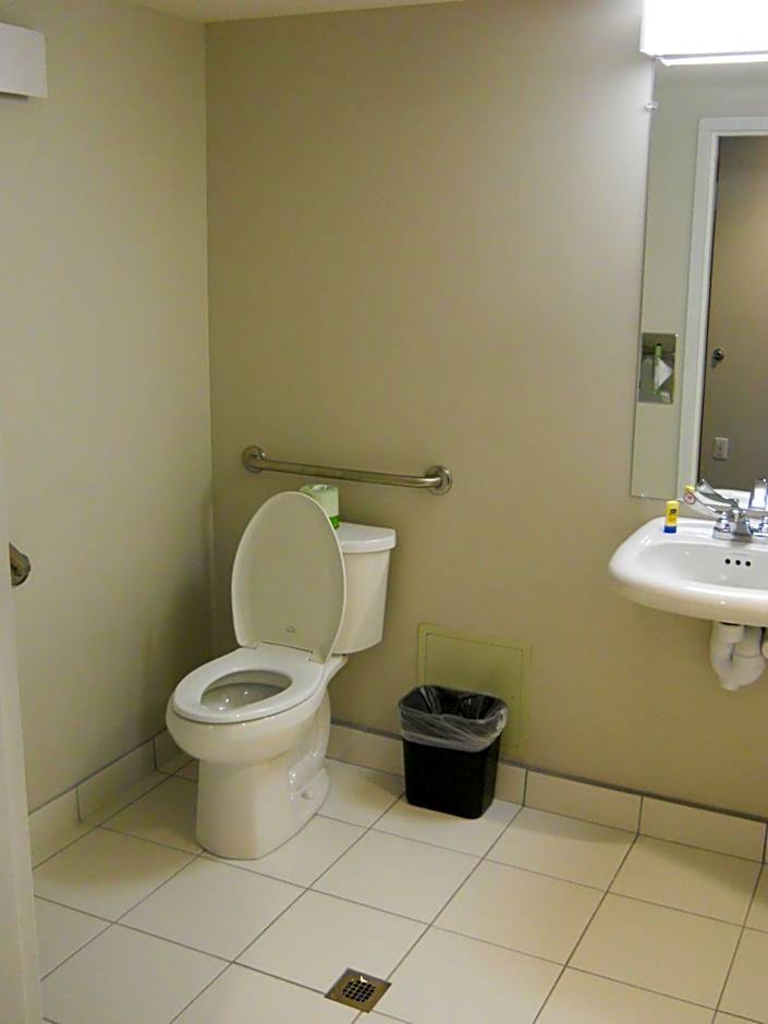 Microtel Inn & Suites by Wyndham Sault Ste. Marie