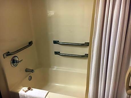ROOM, QUEEN BED, ACCESSIBLE