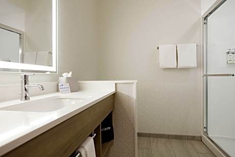 1 King Bed Suite Extra Floor Space