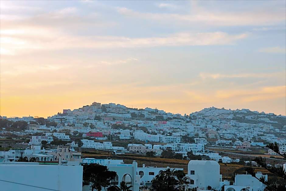 Seven Grapes - Karterados