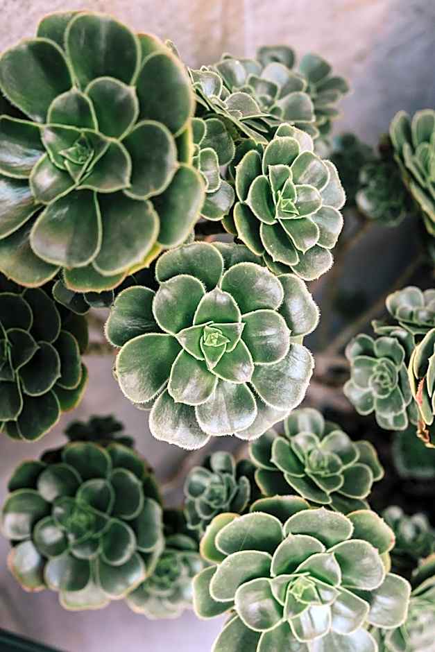 tra il borgo e il mare