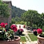 L'Oasi